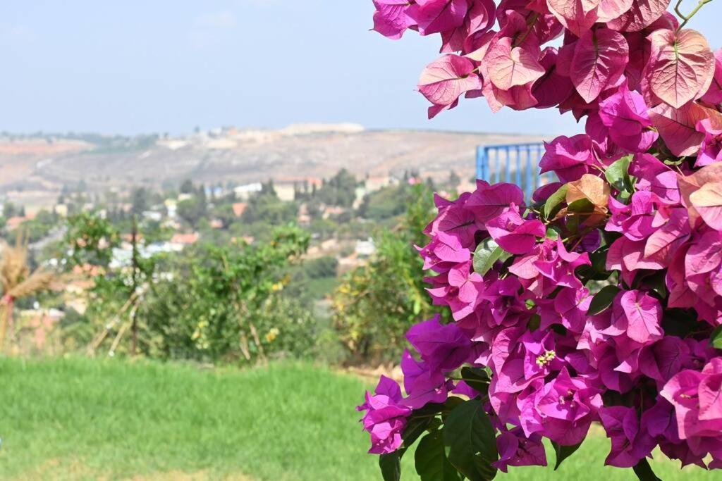 מטולה מול חרמון 빌라 외부 사진